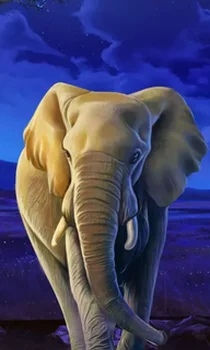 African Elephant